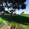 La jolla California Ellen Brown Scrips Park
