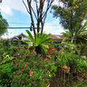 Jayagiri 100 Front Yard