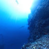 Big Brother - Unterwasser - Rotes Meer