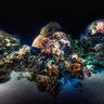 Middle Reef - Unterwasser - Rotes Meer