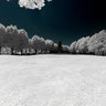 Giardini Reali, infrared panorama