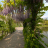 Trauttmansdorff botanical gardens 3