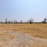 Moremi GameparkinBotswana