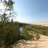 OASIS