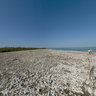 Iguana Island