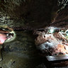 Blarney Castle Badge Cave