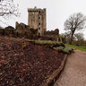 Blarney Castle
