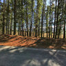 20090314 Paul Cluver 21 Mg 1627 Mg 1641 5000x2500 Layer 1 320 Num 69 Copy Copy