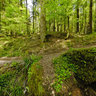 Creek at Schelmenklinge