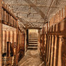 Vaulted cellar of the 