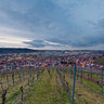 Stuttgart - in den Weinbergen des Mönchberg oberhalb von Untertürkheim