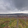 Panoramblick auf Stuttgart vom Mönchberg über Untertürkheim