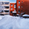 Kannuskuja Winter