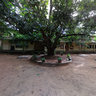 President's College - Embilipitiya, Sri Lanka