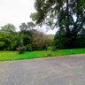 On the River road - Peradeniya botanical Garden, Sri Lanka