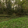 In the Forest of Kernave