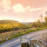 Bielsteinchaussee oberhalb von Hasserode (Harz)