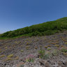Naples Italy Mount Vesuvius Lava Flow Ii
