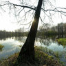 Near the tourist center 