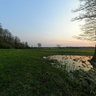 Sunset near the river 