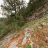 6 05 2009 Krim Black River