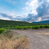 Ukraine, крым. Settlement Solnechnogorsky