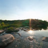 The river 