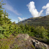 Trail Along South Fork Of Eagle River