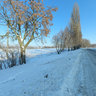 Winter 2012. Sesvanderhave seeds factory