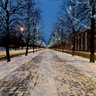 Пр-т Ленина, новогодняя аллея