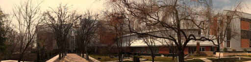Iran: Ario gen co