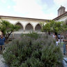 II Festival de Estátuas Vivas - Tomar - Aqui nasceu um novo Mundo