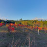 home sweet Autumn