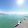 Struisbaai Standing in the Harbour