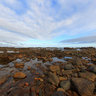 Stilbaai Skulpiesbaai Standing On Rocks