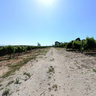 Wine Farm Elgin Valley