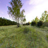 Anaglif 3D in the forrest 4