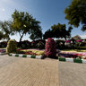 Al Ain Paradise