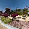 Al Ain Paradise