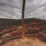 Cheltenham Badlands Ontario