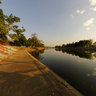 Yang Dam