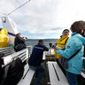 Barcolana from the deck - attualfoto