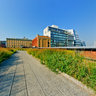 High Line Park New York