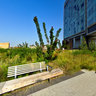 High Line Elevated Park 5 New York