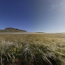 green Desert in Tsondab-Valley/ Namibia/ Africa