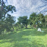 Divo Institute Garden 1