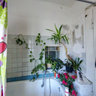 Divo Institute flower bathroom