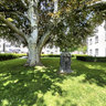 Wiese-Karlihofplatz-Altstadt-Chur-Schweiz