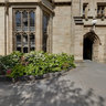 Cussonia Court - University of Melbourne
