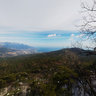 Crimea, Yalta, Silver arbor